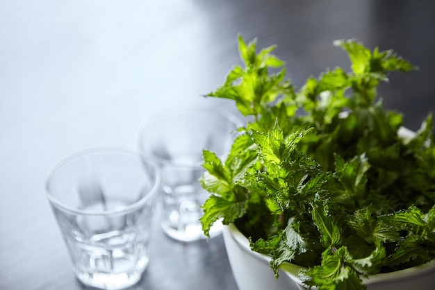 Fresh mint leaves in white bowl and glasses on wooden table green speamint bunch