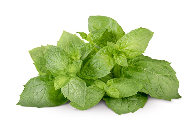 Fresh mint leaves on white isolated surface