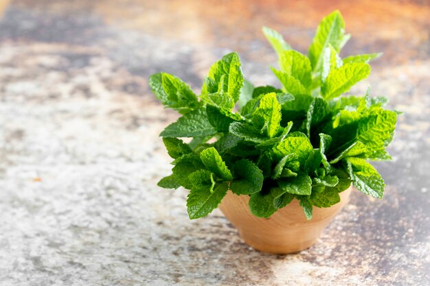 Fresh mint in a pot on a concrete table