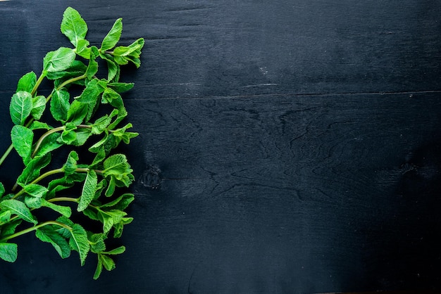 Photo fresh mint. on wooden background. top view. free space.