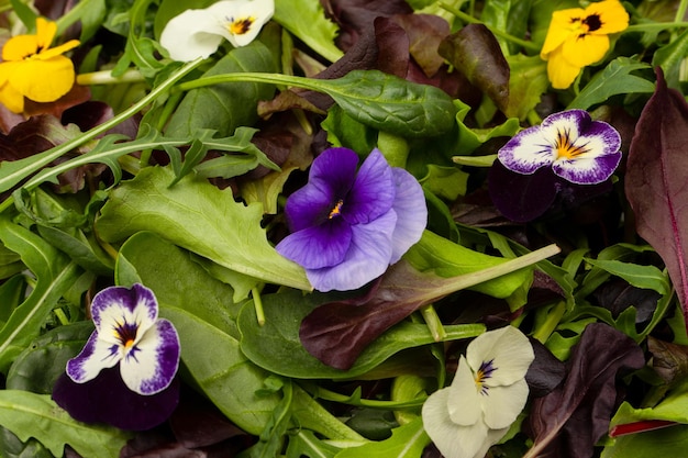 Foto mix fresco di insalate con fiori commestibili vista dall'alto