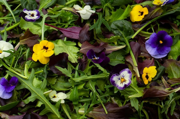 Foto misto fresco di insalate con fiori commestibili