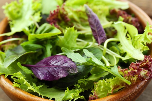 Fresh mixed green salad in bowl close up