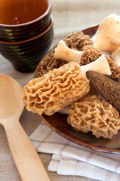 Fresh morel mushrooms on a plate 