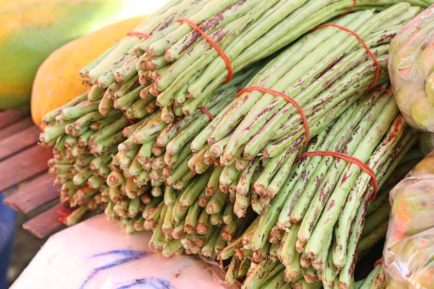 Fresh moringa in market