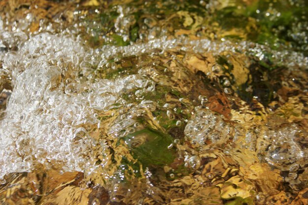 新鮮な山の水