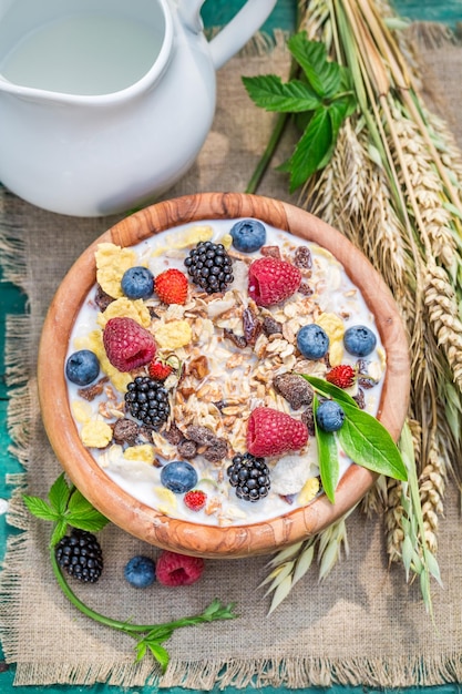 Fresh muesli with milk and berry fruits in garden