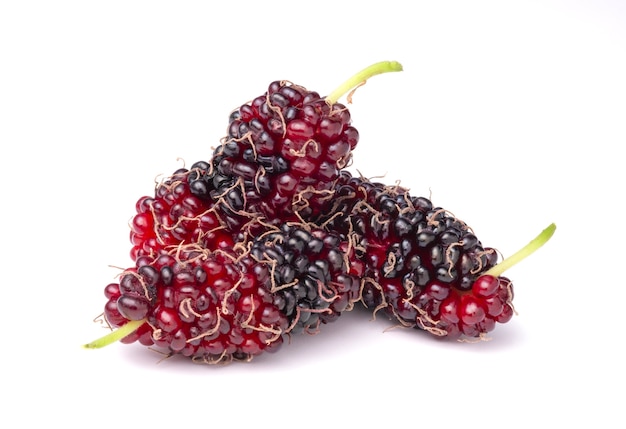 Fresh mulberries fruits on a white background