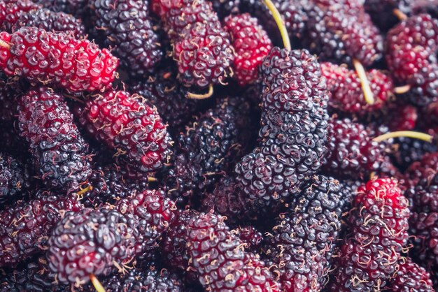 Fresh mulberry closeup background