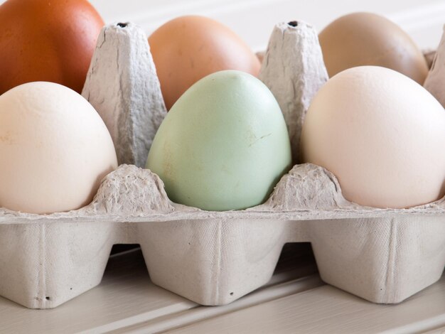 Fresh multi-color farm eggs on the table.