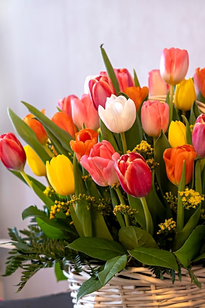 Foto fresco bouquet di tulipani multicolore in un cesto regalo per il giorno romantico concetto di buon compleanno