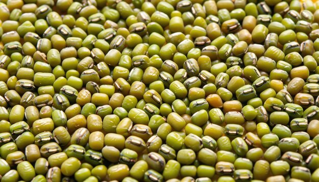 Fresh mung bean grams closeup view