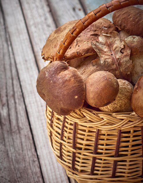 Fresh mushrooms in the basket.