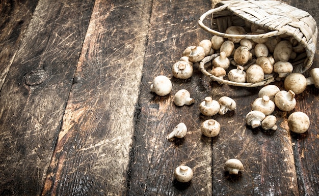 Fresh mushrooms in a basket.