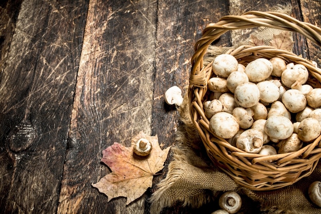 Fresh mushrooms in a basket