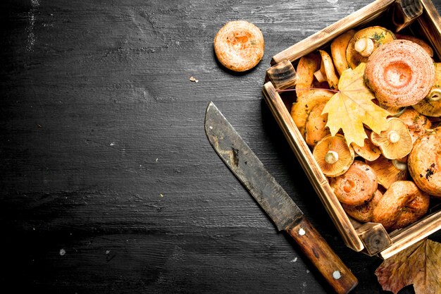 Fresh mushrooms in a box.