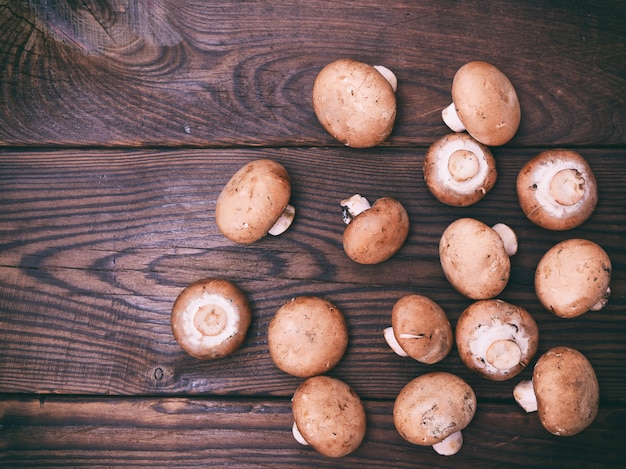 Fresh mushrooms champignons 