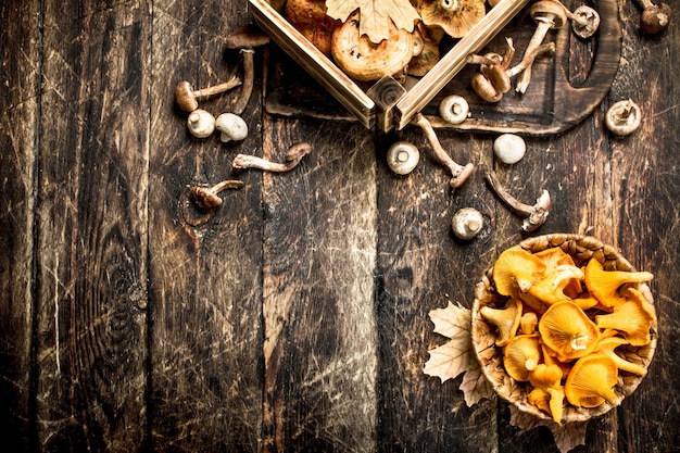 Fresh mushrooms, honey agarics and chanterelles. On a wooden background.