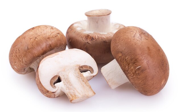 Fresh mushrooms isolated on white background