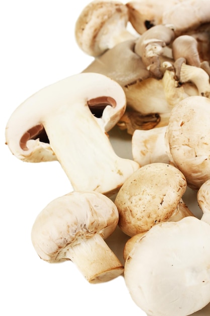 Fresh mushrooms isolated on white