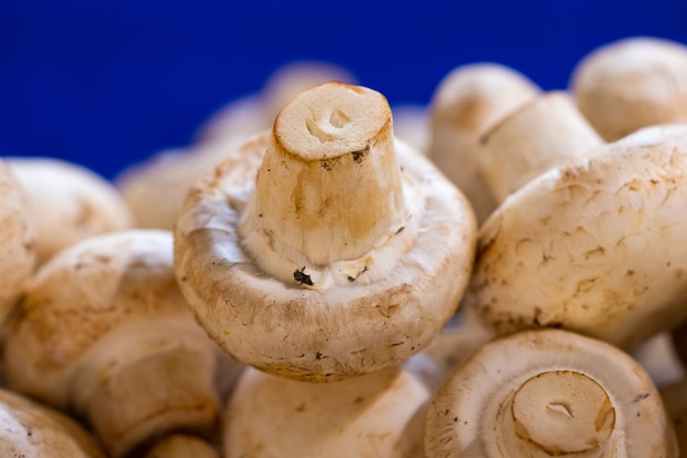 Fresh mushrooms in the market