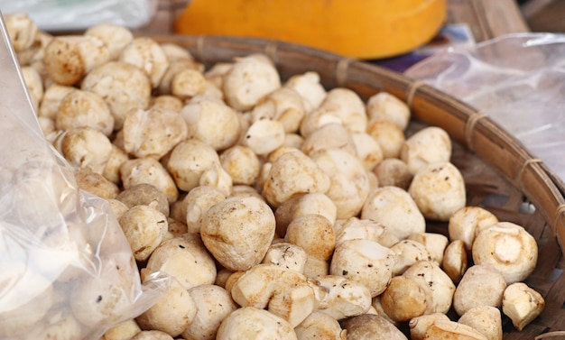 fresh mushrooms at market