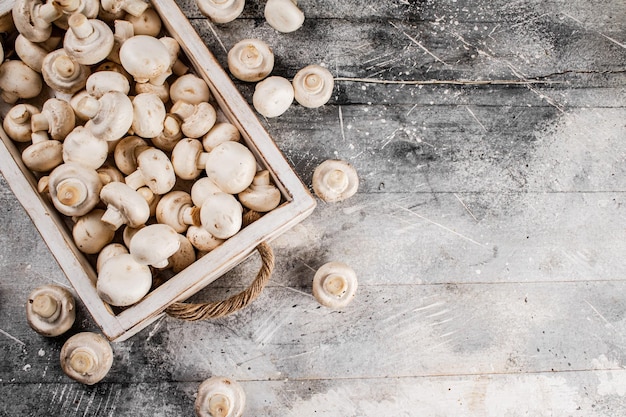 Photo fresh mushrooms on the tray