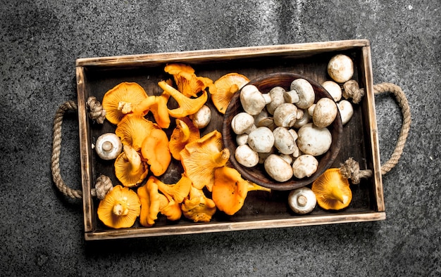 Fresh mushrooms on a wooden tray.