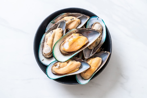 fresh mussel on bowl