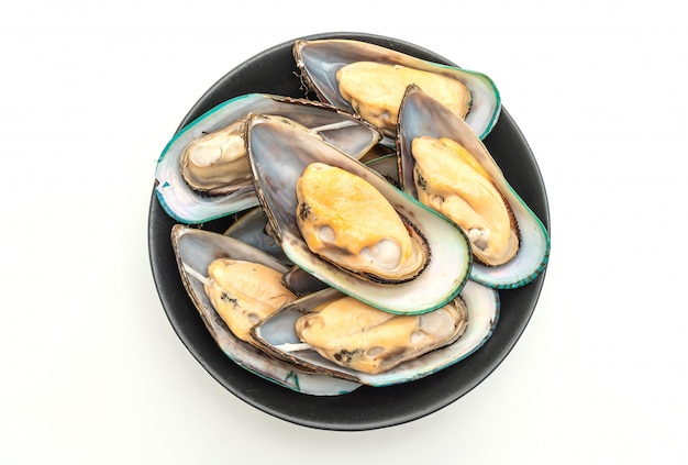 fresh mussel on white background