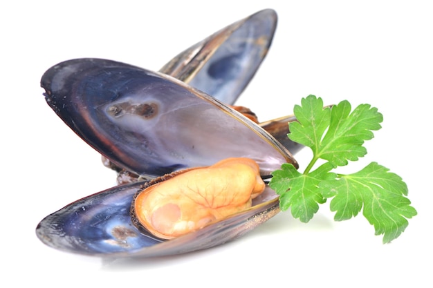 Cozze fresche