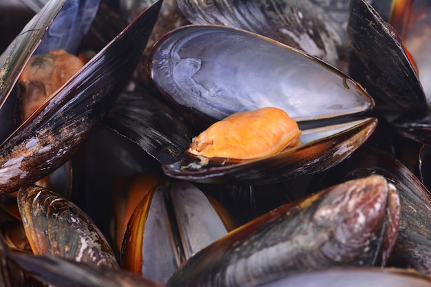 Photo fresh mussel