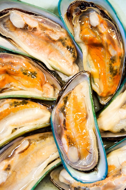 Fresh Mussel