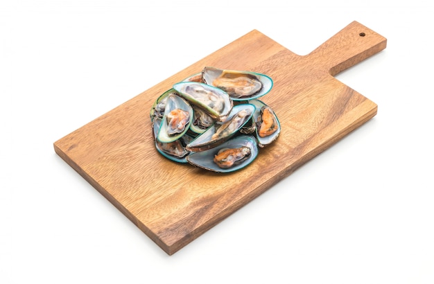fresh mussels isolated