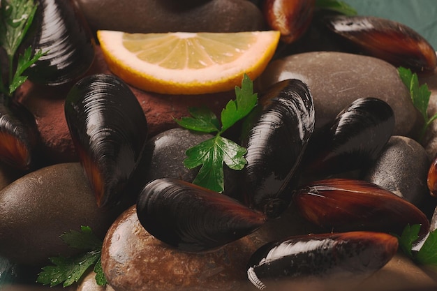 Fresh mussels on rocks top view food concept selective focus seafood no people