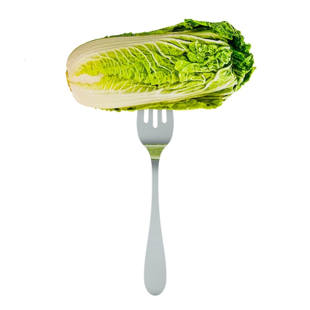 Fresh napa cabbage on fork 3D rendering