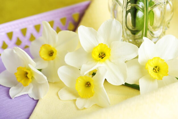 Fresh narcissus flowers on wicker tray closeup