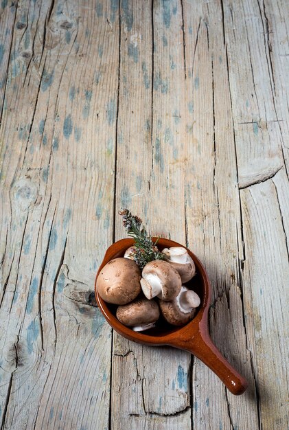 Fresh and natural mushrooms on plate