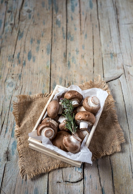 Fresh and natural mushrooms on plate