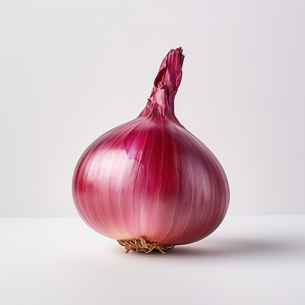 fresh natural onion