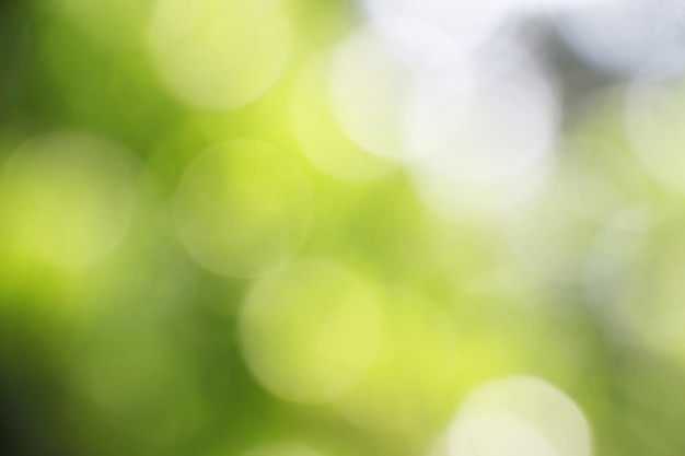 fresh nature green bokeh background