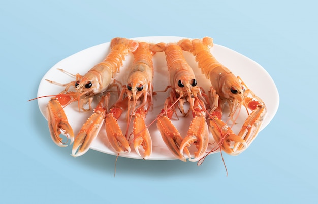 Fresh Norway lobster on wooden plate, isolated from blue background