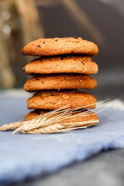 Fresh oatmeal cookies on a dark background