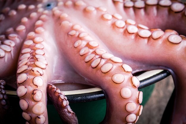 Fresh octopus in the bowl closeup on wooden rustic table