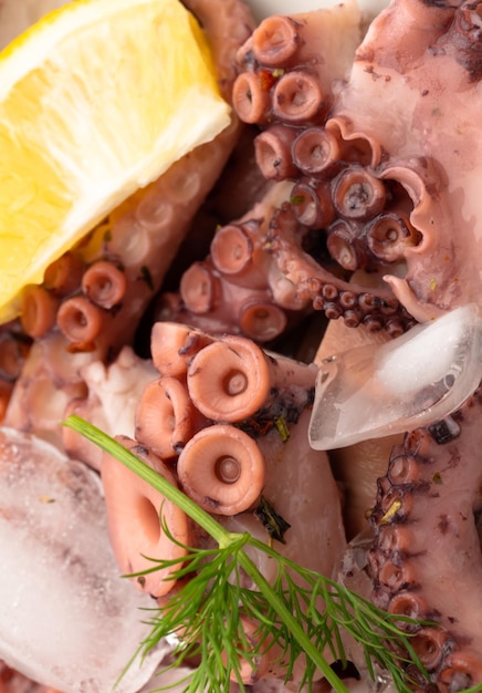 Fresh octopus salad with lemon and dill