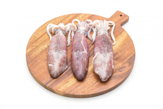 fresh octopus or squids raw