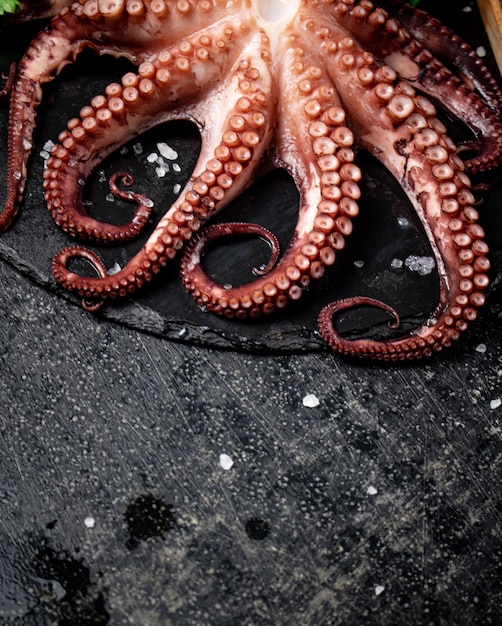 Photo fresh octopus on a stone board