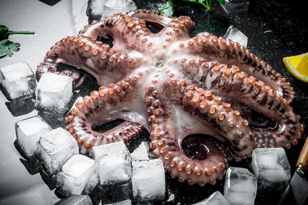 Photo fresh octopus with ice