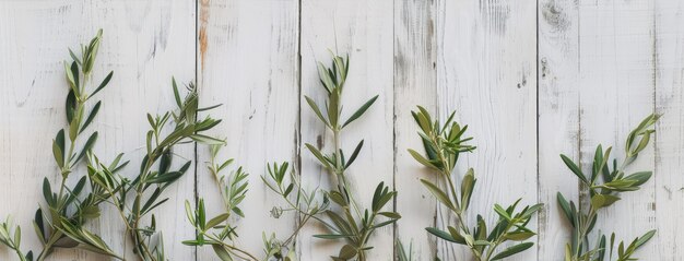 Photo fresh olive branches on white wooden background