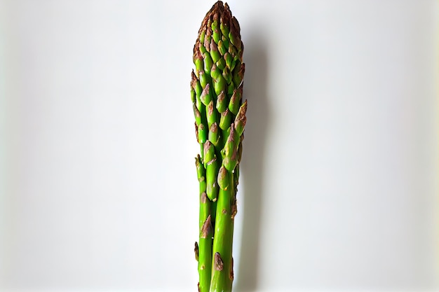 Fresh One natural Asparagus